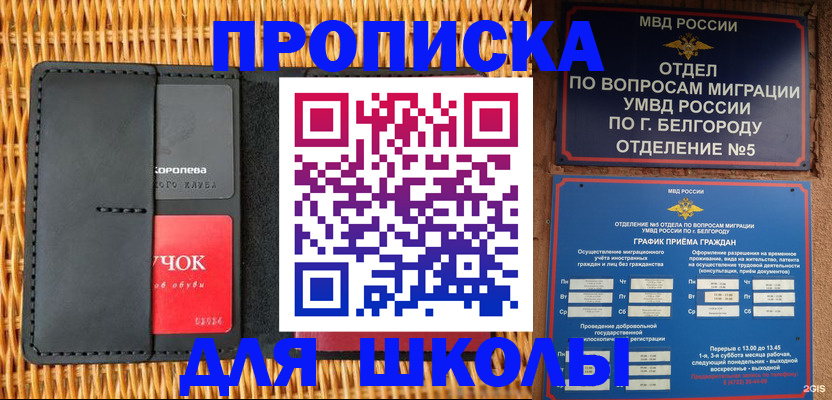 временная регистрация собственник в Архангельске